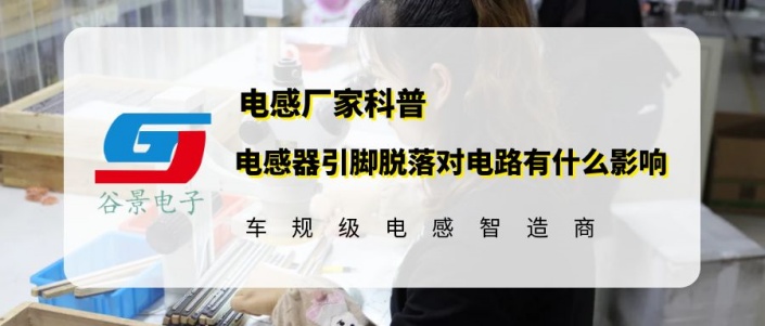 蘇州谷景電子磁環電感有限公司 1